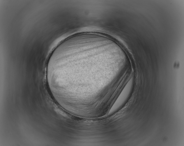 X0000088901366200707061445