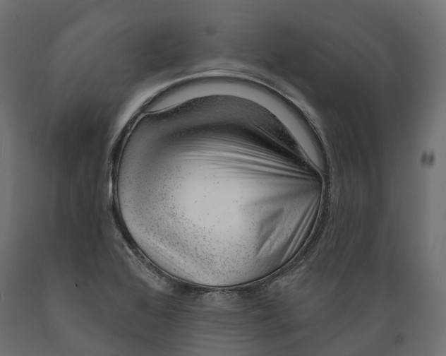 X0000088901368200707061445