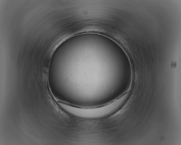 X0000088901369200707061445