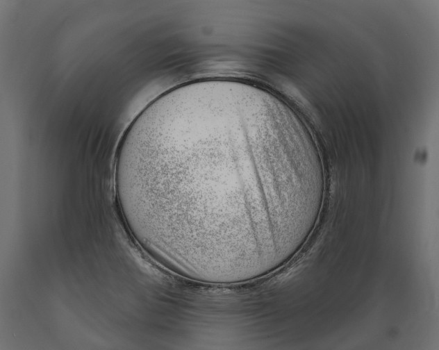 X0000088901370200707061445