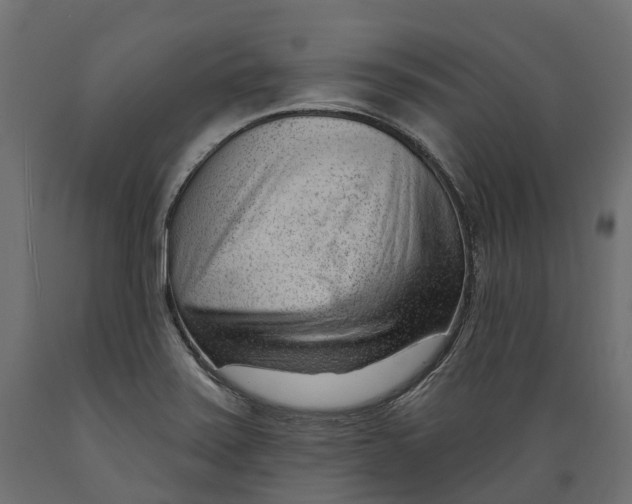 X0000088901371200707061445