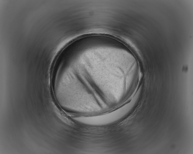 X0000088901372200707061445