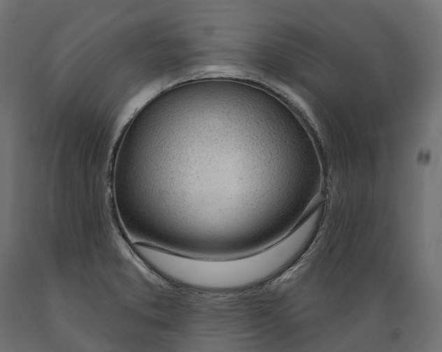 X0000088901373200707061445