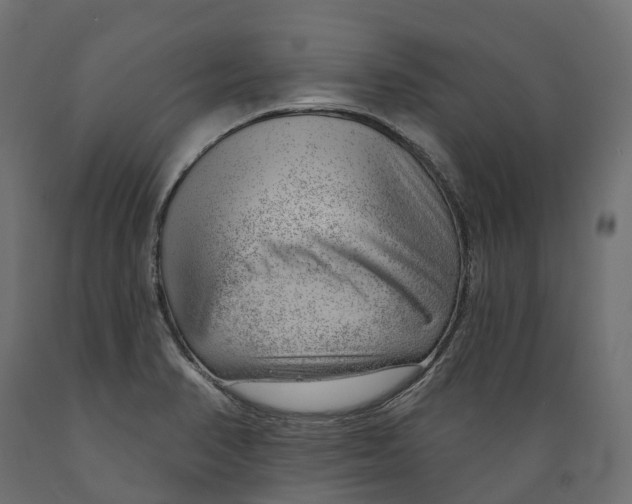 X0000088901374200707061445