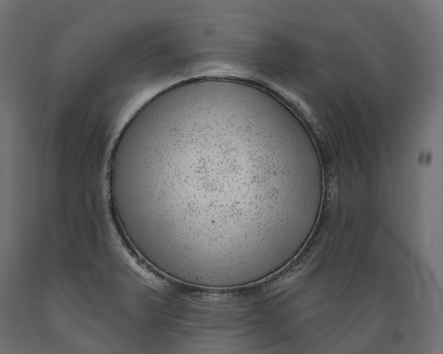 X0000088901375200707061445