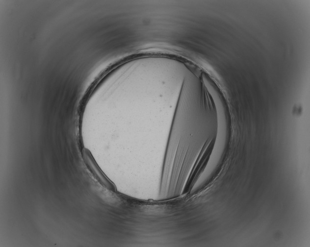 X0000088901376200707061445