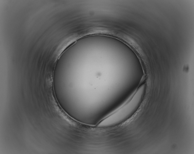 X0000088901377200707061445