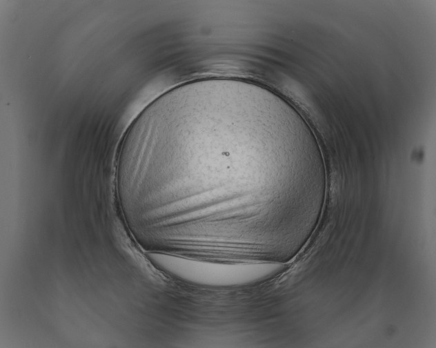 X0000088901378200707061445