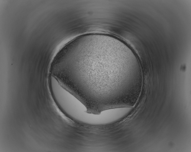 X0000088901379200707061445