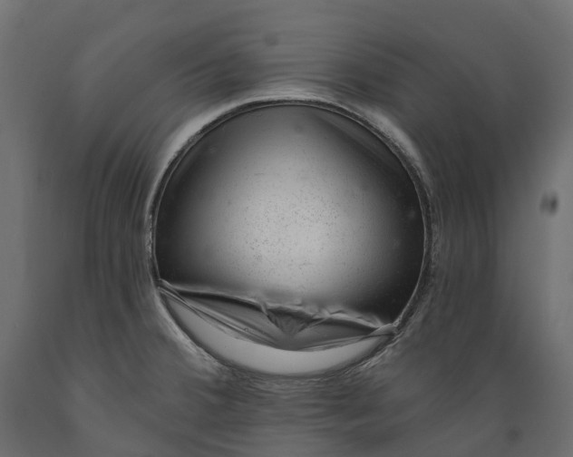 X0000088901380200707061445