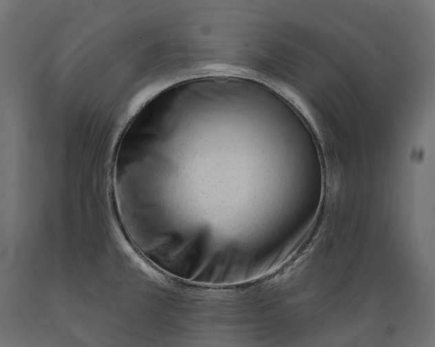 X0000088901381200707061445