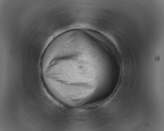 X0000088901382200707061445