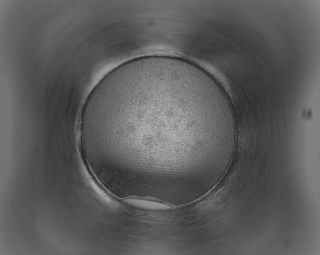 X0000088901383200707061445