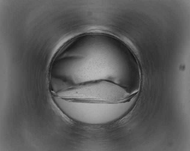 X0000088901384200707061445