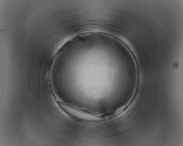 X0000088901385200707061445