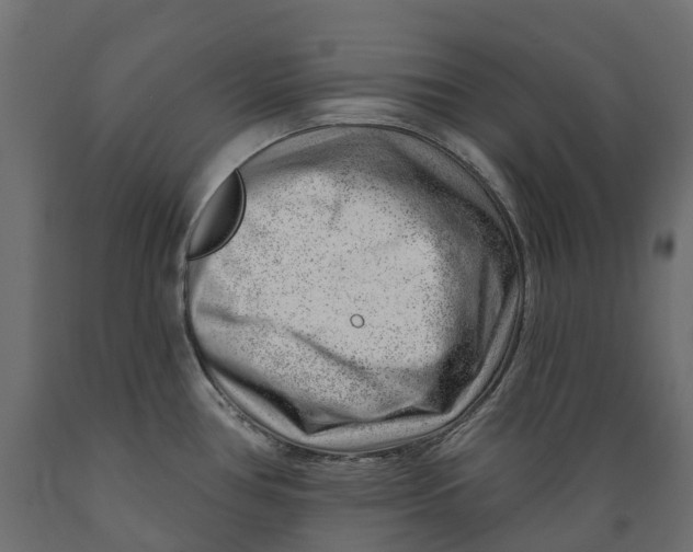 X0000088901386200707061445