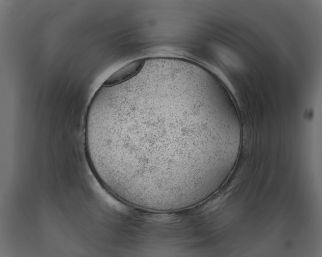 X0000088901387200707061445