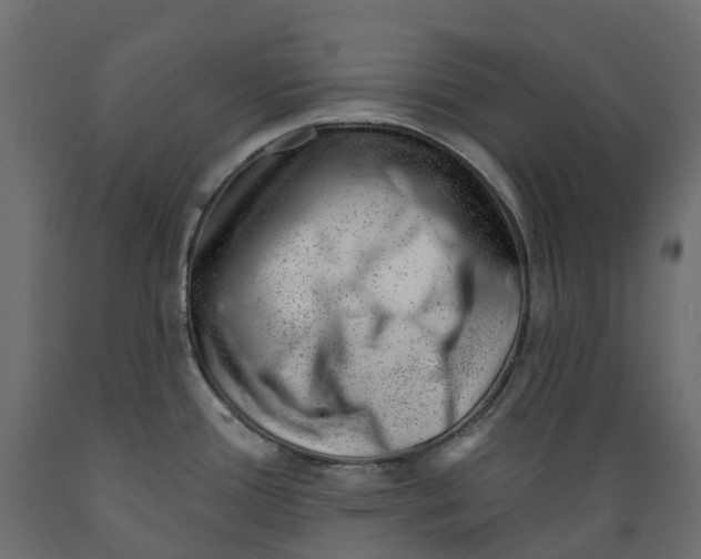 X0000088901388200707061445