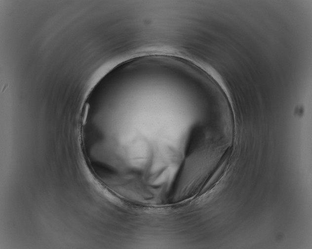 X0000088901389200707061445