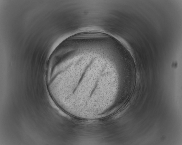 X0000088901390200707061445