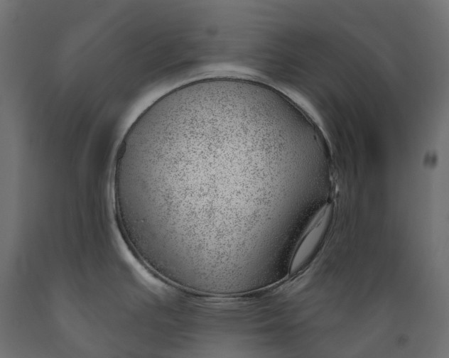 X0000088901391200707061445