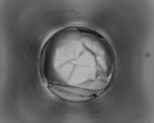 X0000088901392200707061445