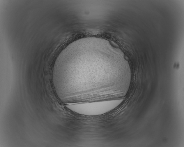 X0000088901393200707061444