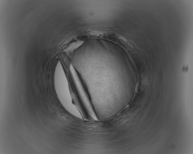 X0000088901394200707061444