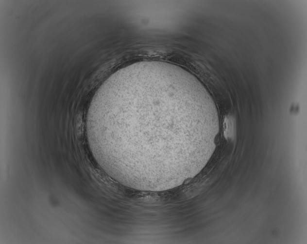 X0000088901395200707061444