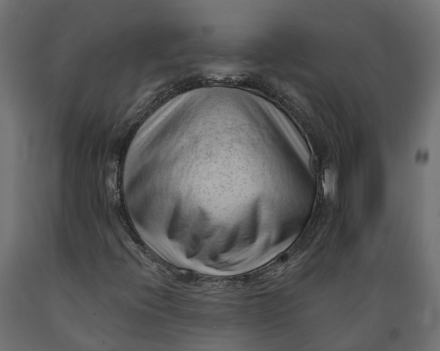 X0000088901396200707061444