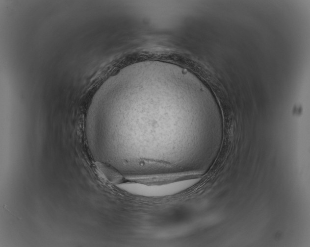 X0000088901397200707061444