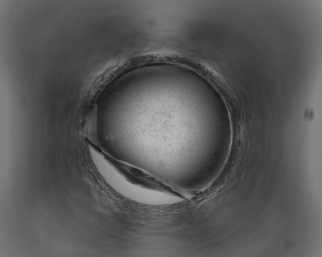 X0000088901398200707061444