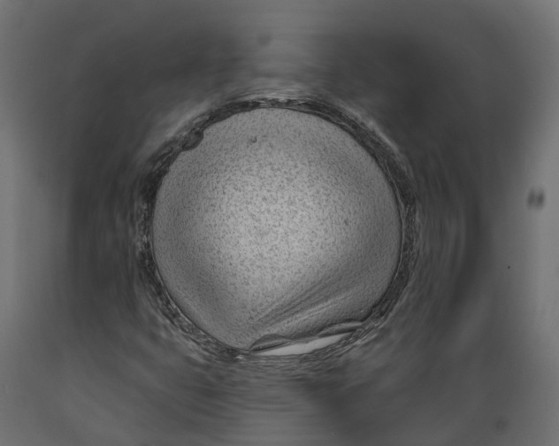 X0000088901399200707061444