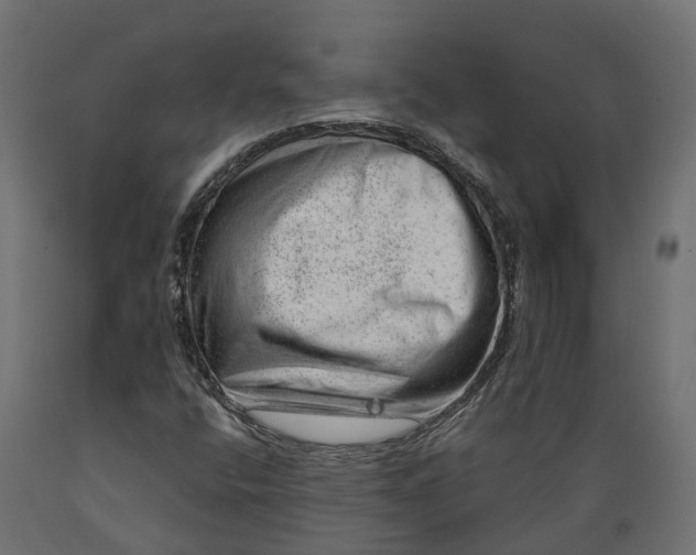 X0000088901400200707061444