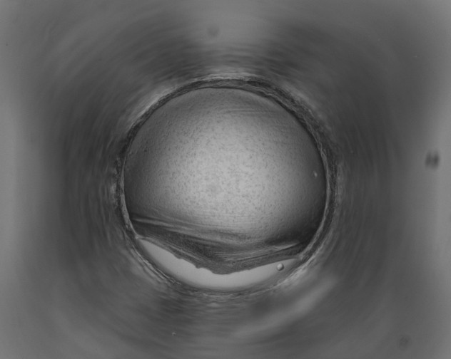 X0000088901401200707061444