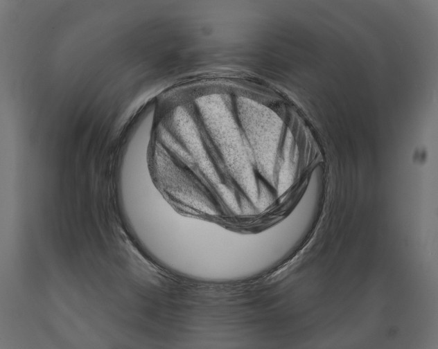 X0000088901402200707061444