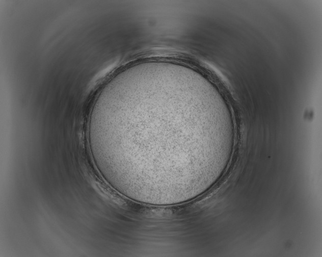 X0000088901403200707061444