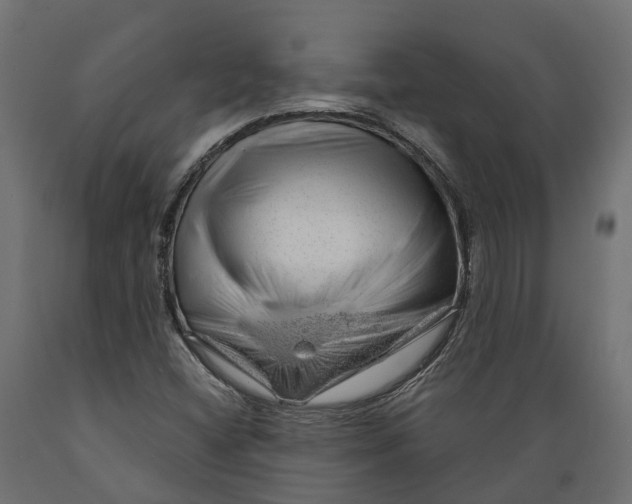 X0000088901404200707061444