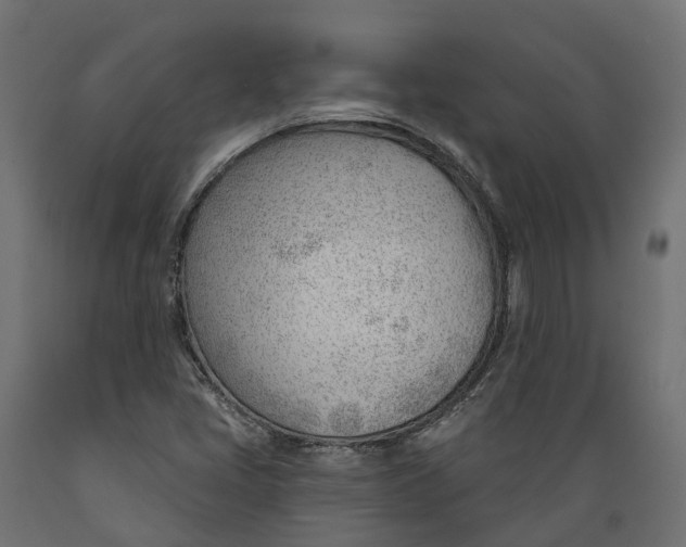 X0000088901405200707061444