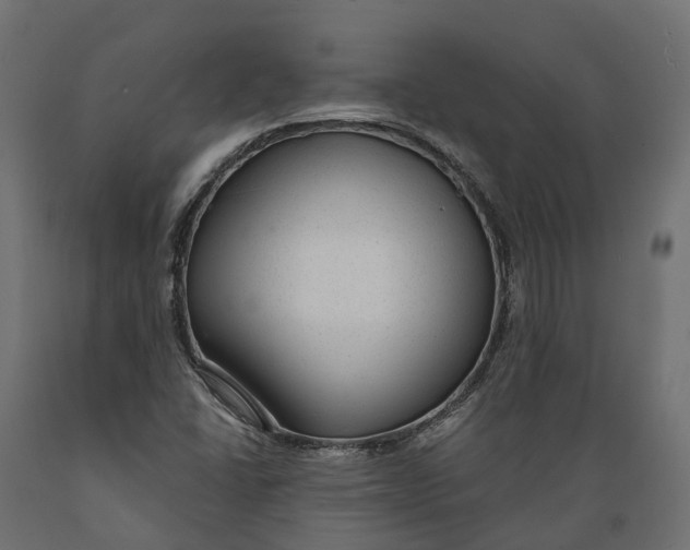 X0000088901406200707061444