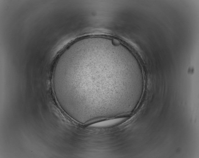 X0000088901407200707061444