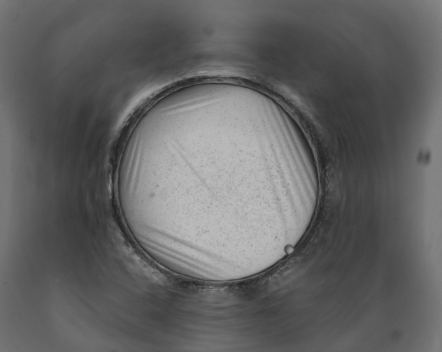 X0000088901408200707061444