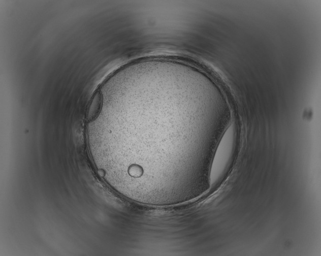 X0000088901409200707061444