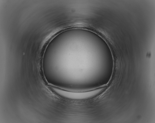 X0000088901410200707061444