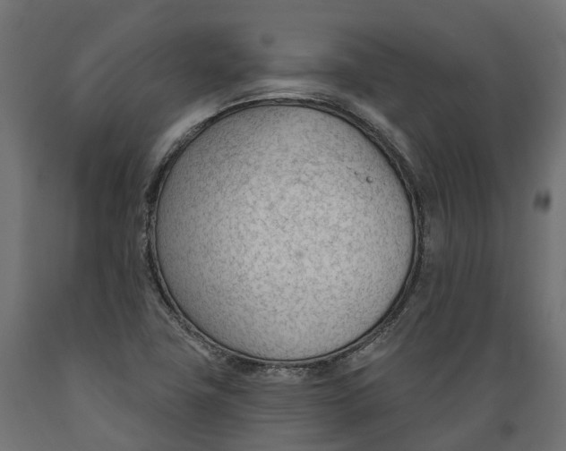 X0000088901411200707061444