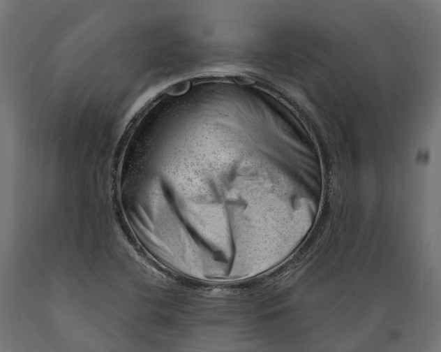 X0000088901412200707061444