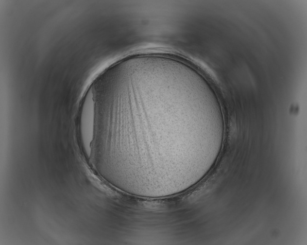 X0000088901413200707061444