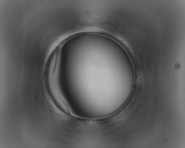 X0000088901414200707061444