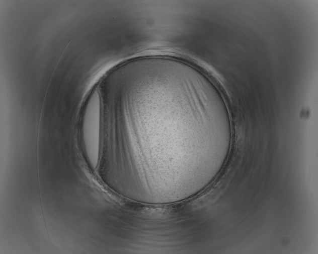 X0000088901415200707061444