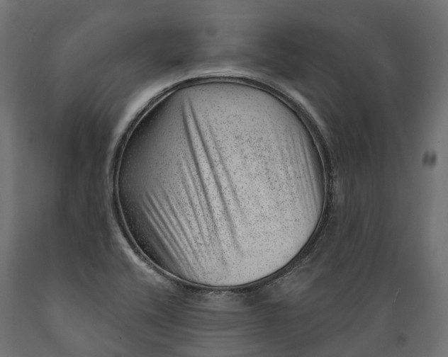 X0000088901416200707061444